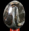 Septarian Dragon Egg Geode - Black Crystals #83208-1